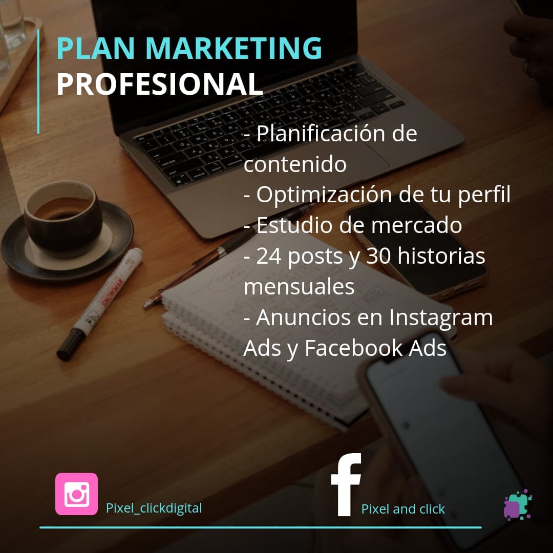 Plan marketing profesional